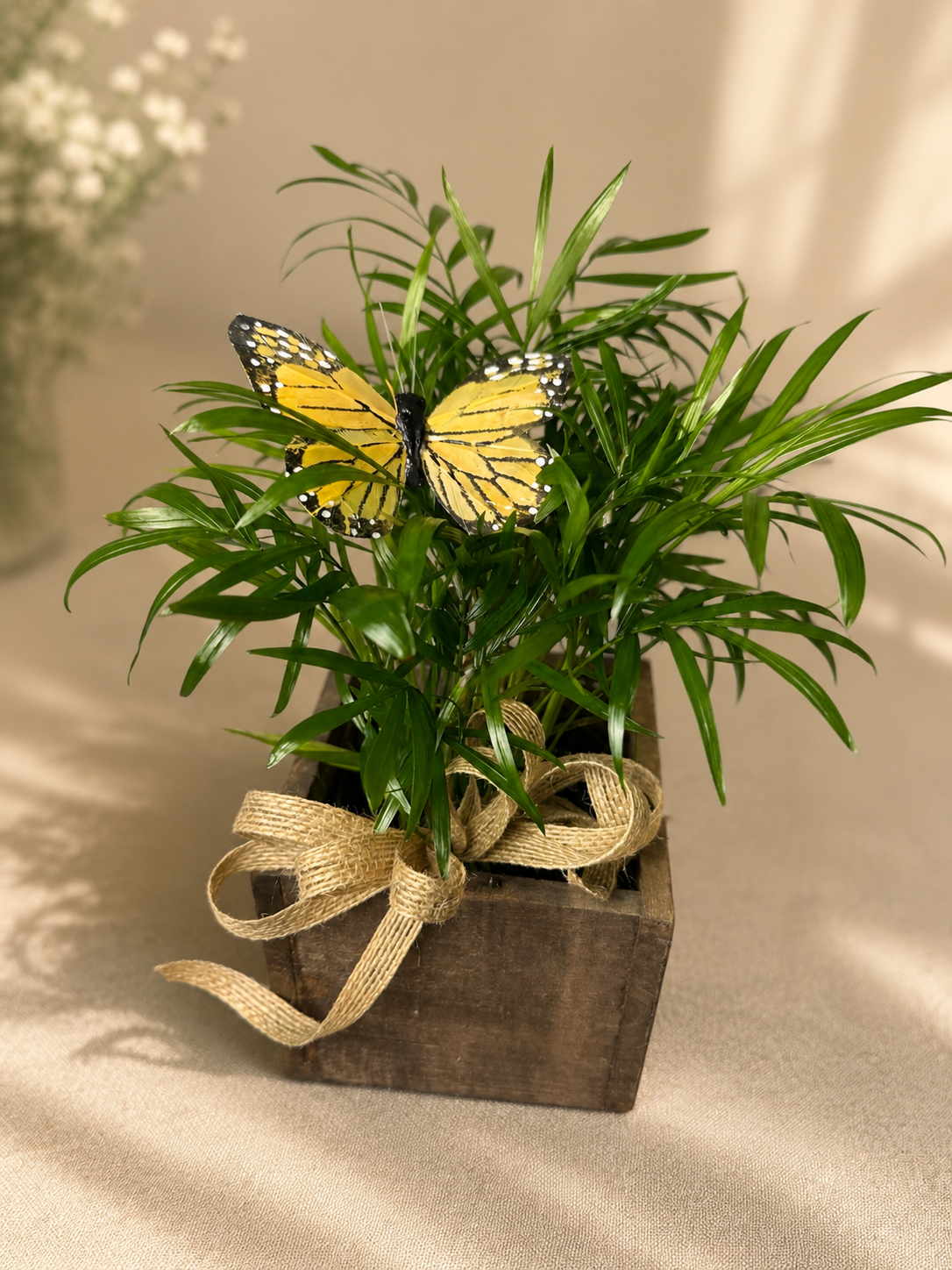 Flutter & Grow