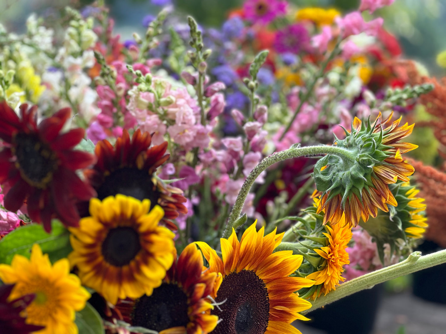 DIY Bucket of Flowers