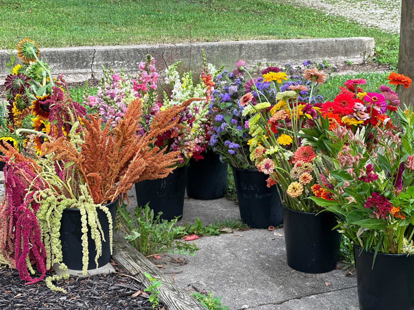 DIY Wedding Flowers