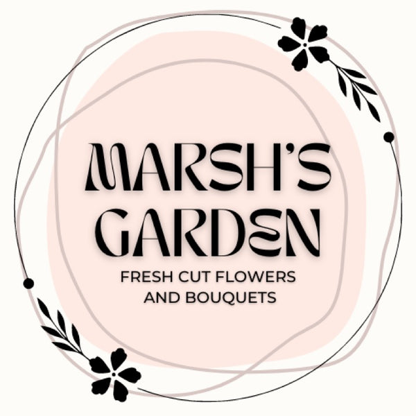 Marsh's Garden, LLC