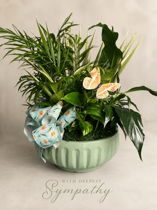 Butterfly  Blessings Dish Garden
