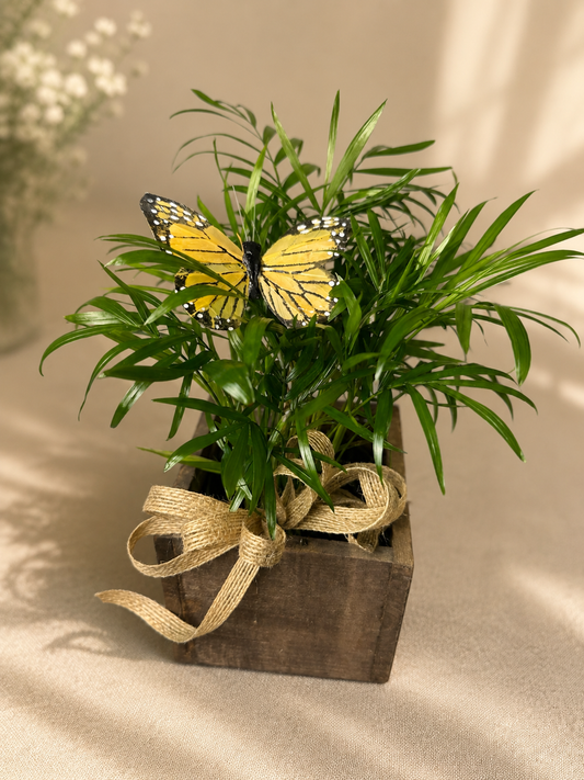 Flutter & Grow