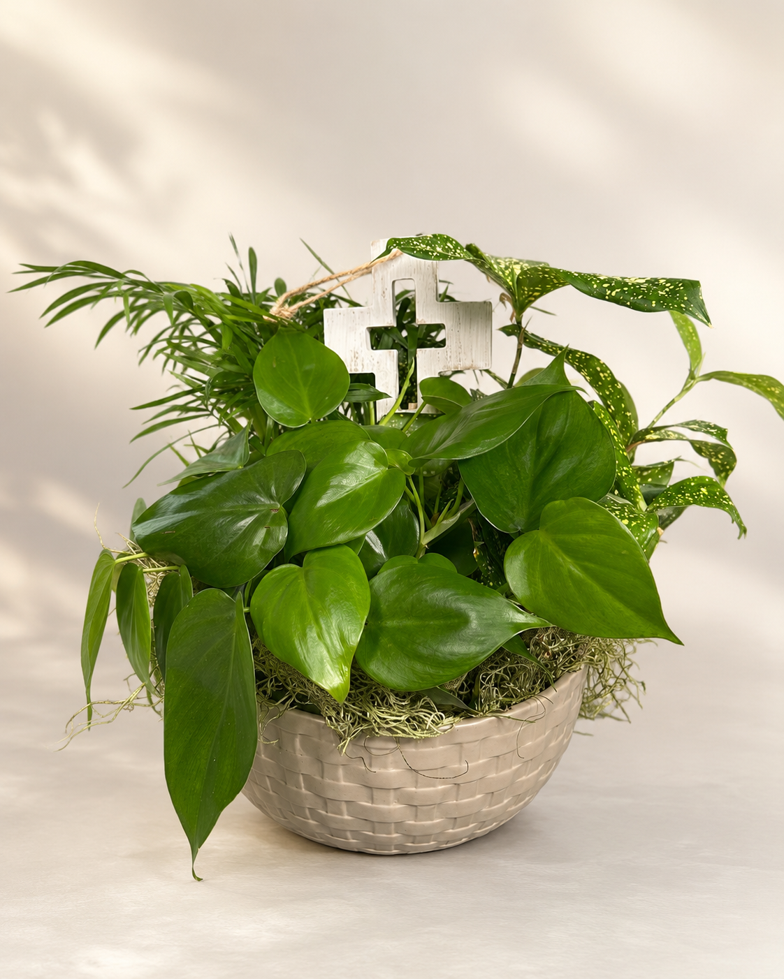 Butterfly  Blessings Dish Garden