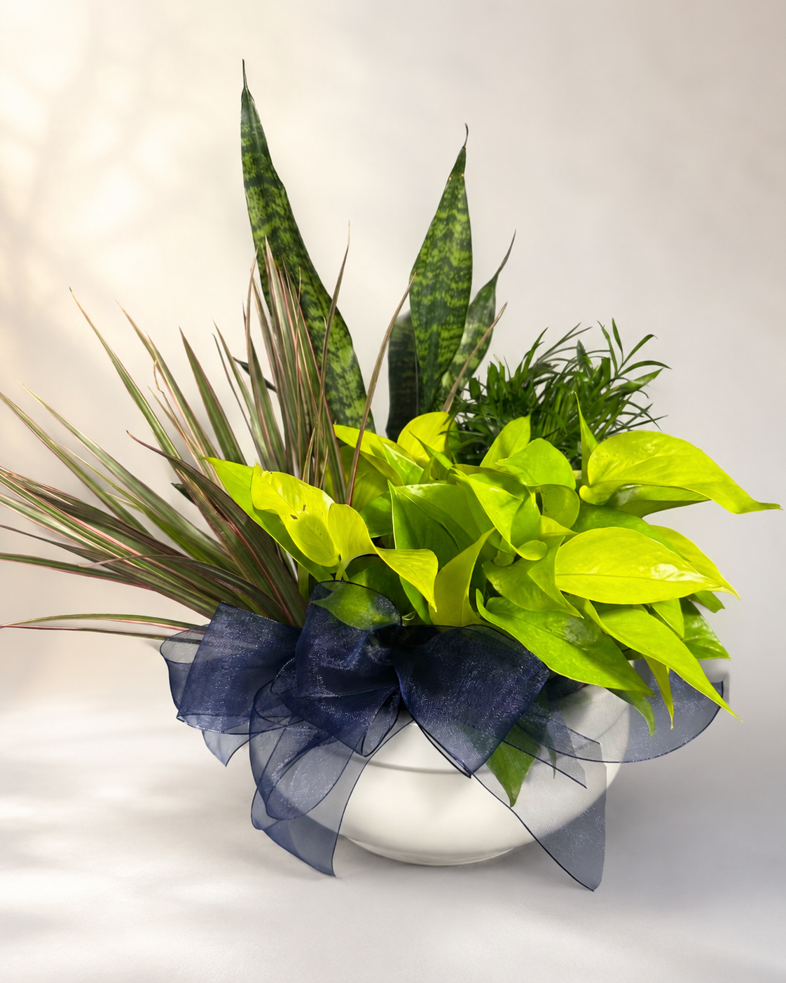 Butterfly  Blessings Dish Garden