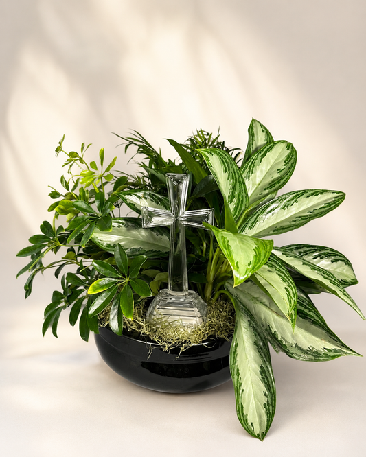 Butterfly  Blessings Dish Garden