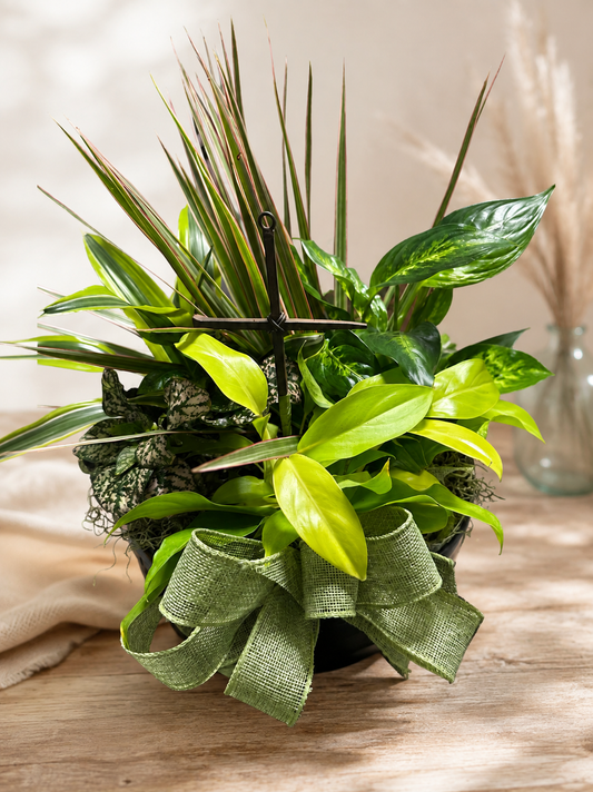 Living Legacy Dish Garden
