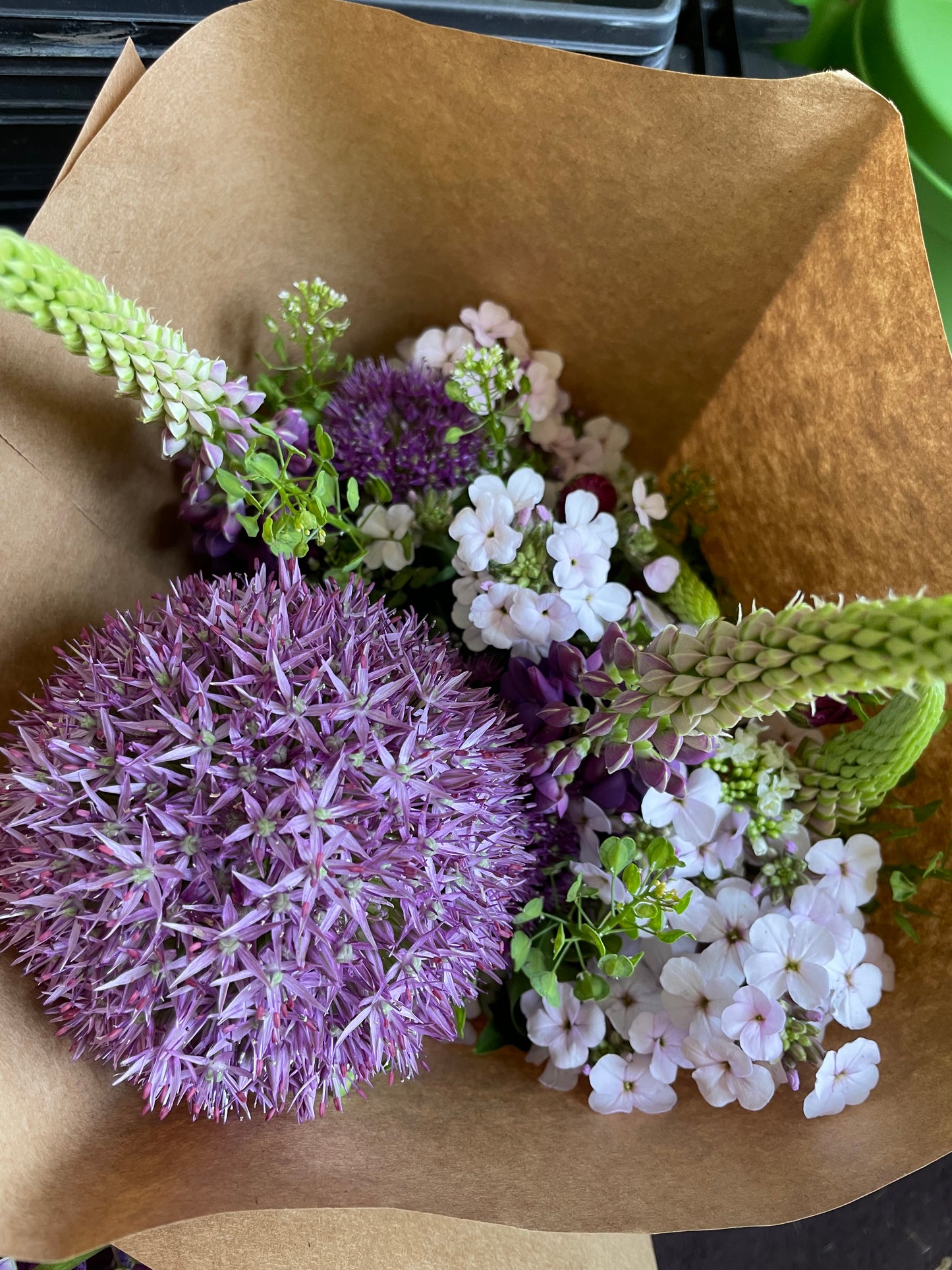 Allium Bouquet